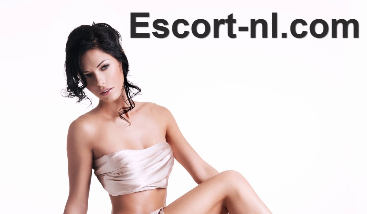 escort-nl.fatbloggers.net